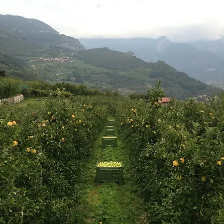 Agritur Le Pergole 3*