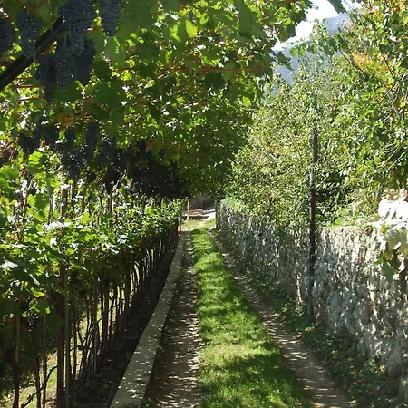 Agritur Le Pergole Villa Lagarina
